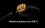 NITECORE NU31 - max. 550 Lumen